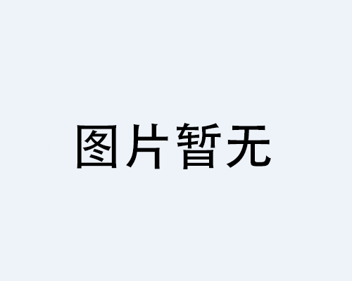 德國(guó)德馬格 MPW 卷揚(yáng)機(jī)小車